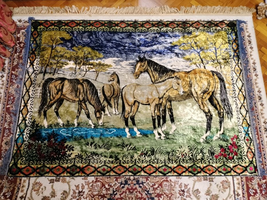 Vând carpeta perete