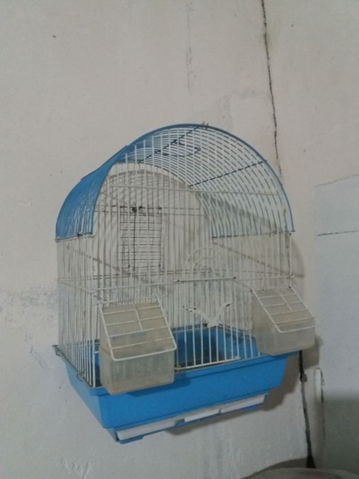 Qush qafasi sotiladi