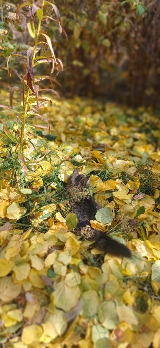 2мальчика 1девочка. Очень тактильные игривые