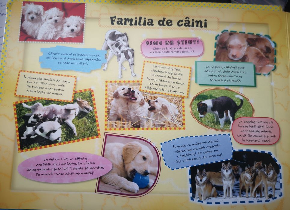 Carte puzzle animale domestice, cartonata, cai, câini, NOI