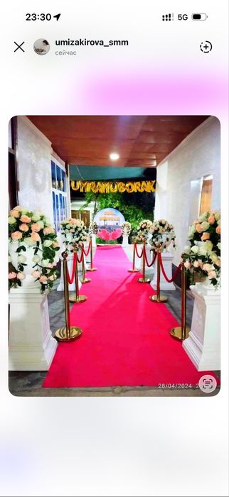 Andijon dekor togʻri tallov