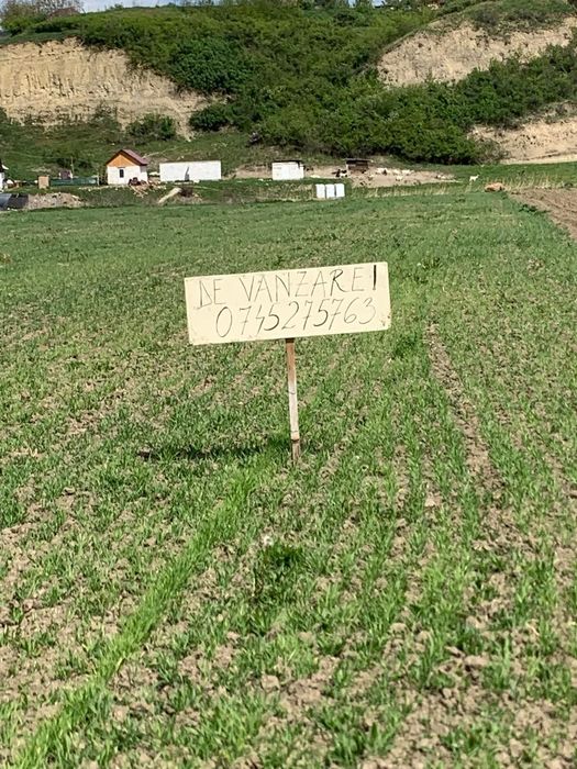 Teren extravilan Unirea 1