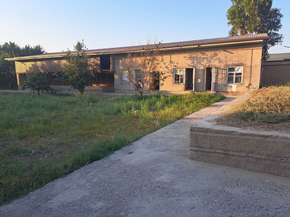 Mini ferma sotiladi yoki arendaga beriladi