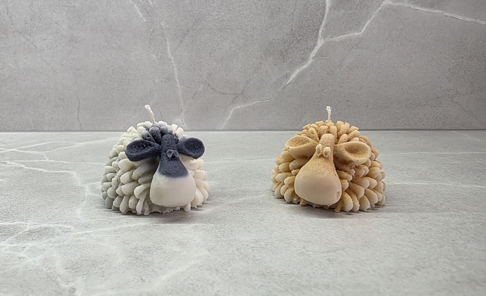 Соеви ароматни свещи