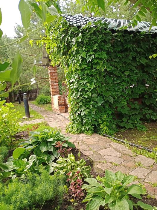 Дача-усадьба, с..Ивановка,Шикарная!!!