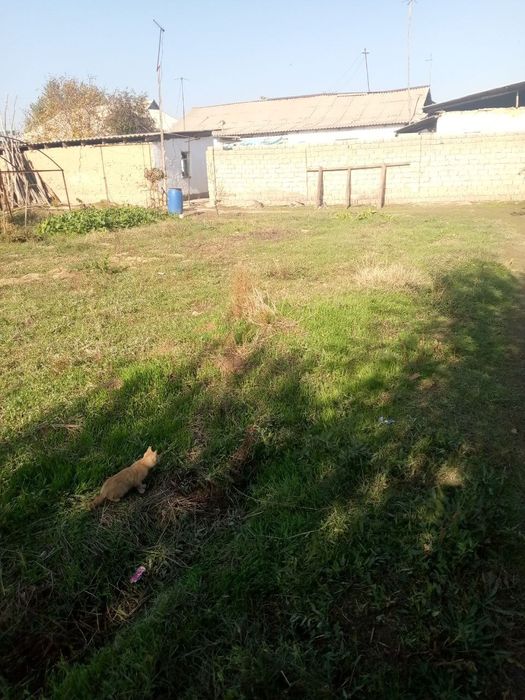 Yer uchastkasi sotiladi Toshkent viloyati oʻrta Chirchiq