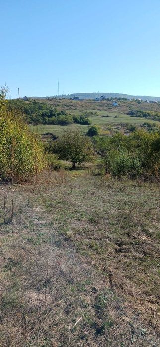 Teren 3468 mp,  Comuna Bârnova , sat Cercu  + Casă inclusă în preț
