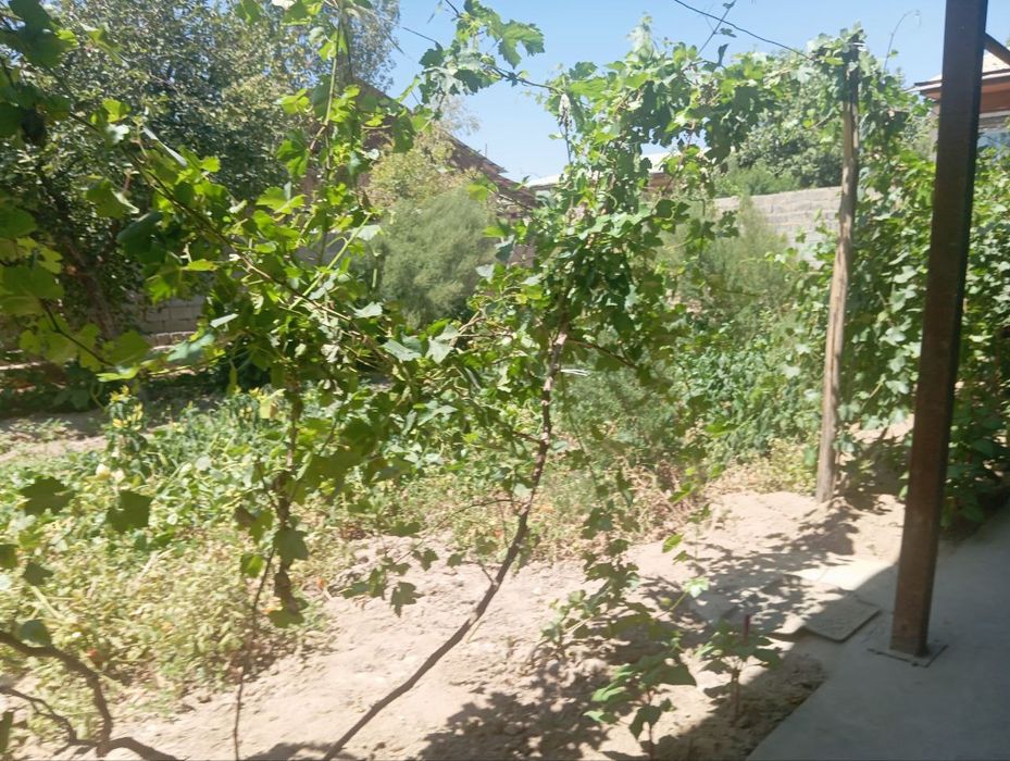 Yer Sotiladi 3 sotik. 1 sotigi 15000$