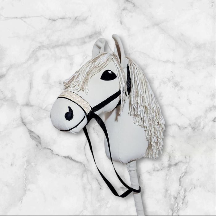 Hobby horse, cal cu baț