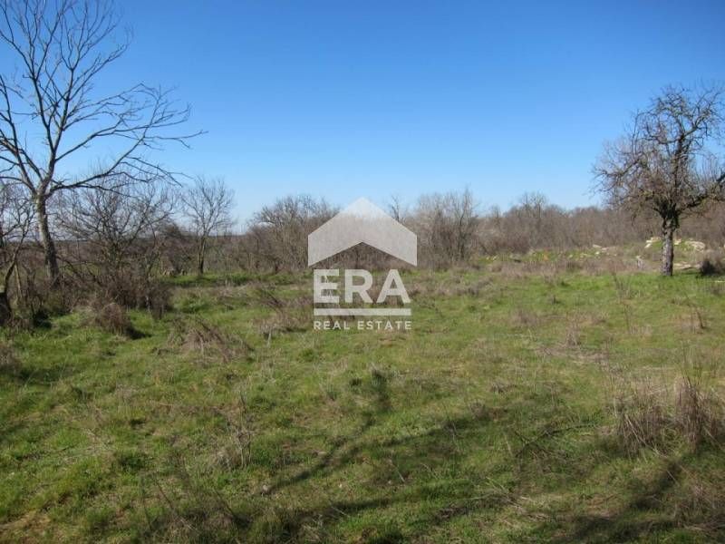 Парцел в село Кривня област Варна