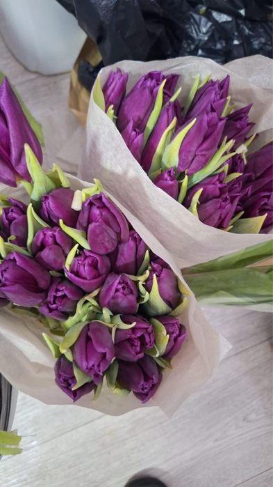 Продам тюльпаны Темиртау