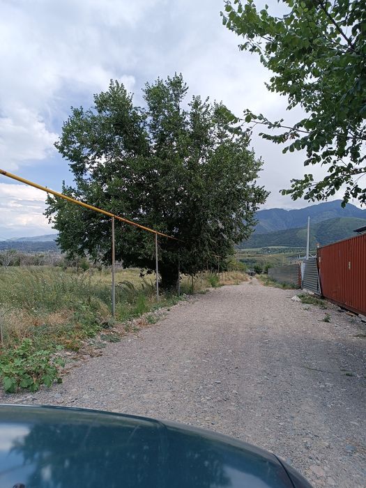 Участок на инкубаторе