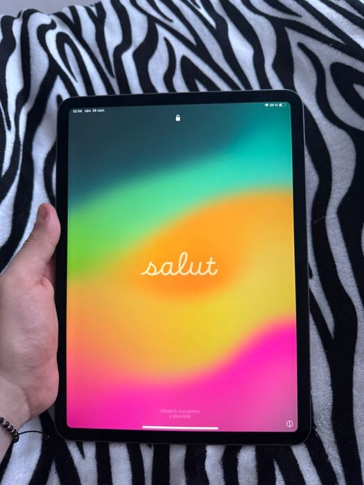 iPad Pro 1 11inch 64GB