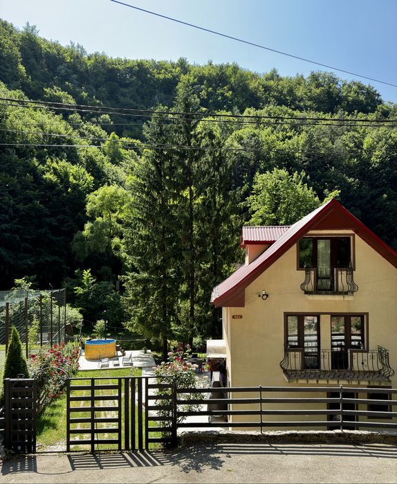 Casa Trei Brazi Valea Bratcutei Ciubar Bihor