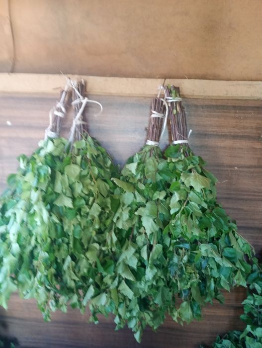 Продам веники берёзовые.