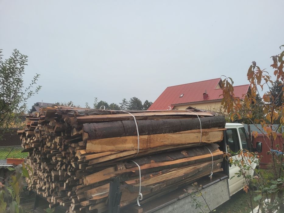 Bonturi de fag uscate