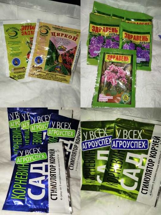 Колеус домашний  и другие