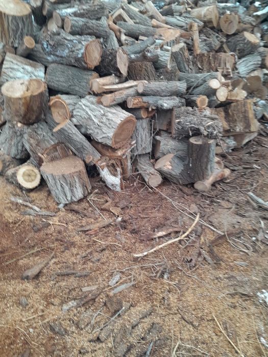 Продам дрова (КАРАГАЧ)