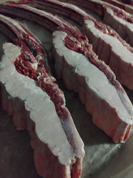 Продам мясо конина