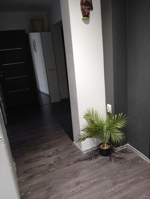 Apartament 3 camere
