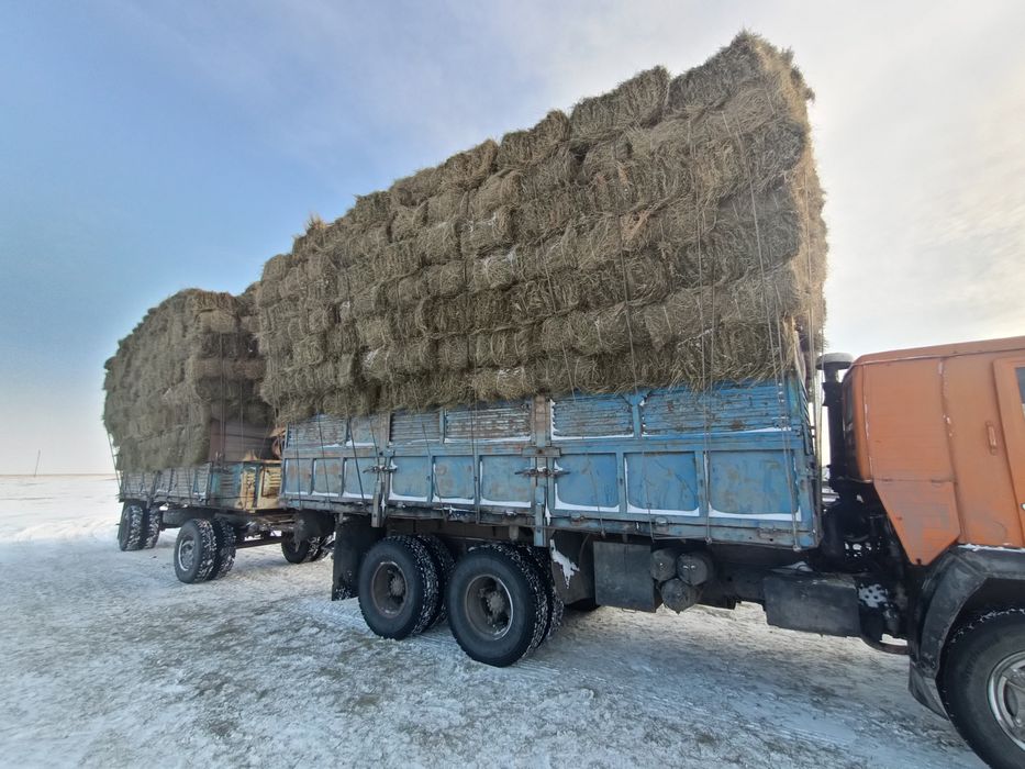 Продам сено житняк