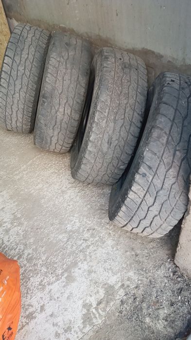 Автошины маххсис