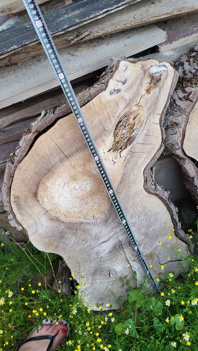 Bucăți felii din lemn de nuc