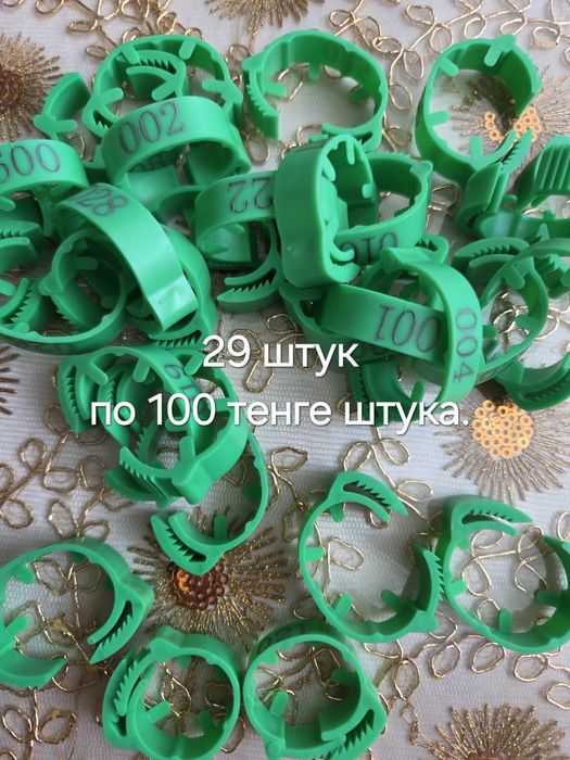 Колца для кур и другие птицы.