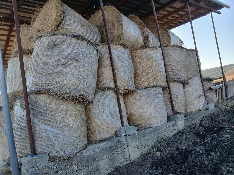 Vând baloți de lucernă coasa 3-4 uscată sau înfoliată