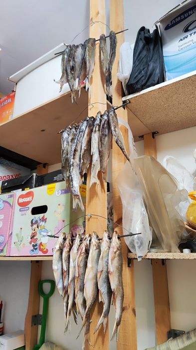 Кепкен рыбец бар