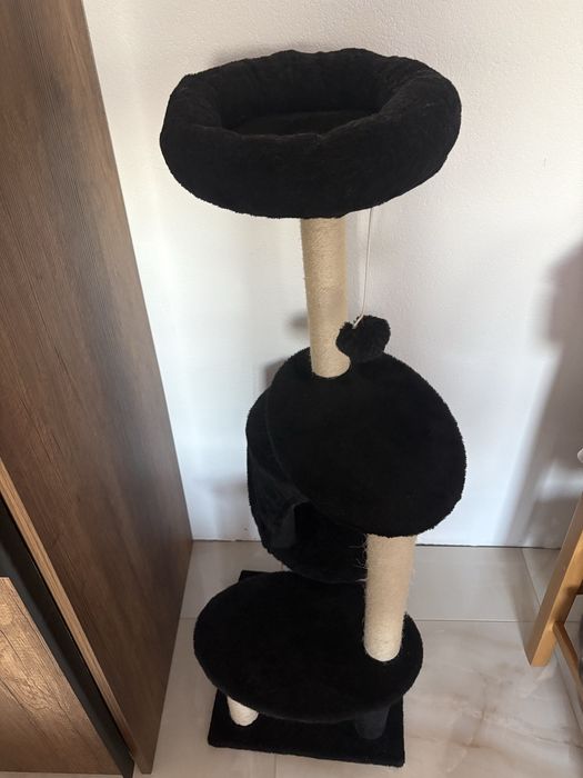 Котешка катерушка