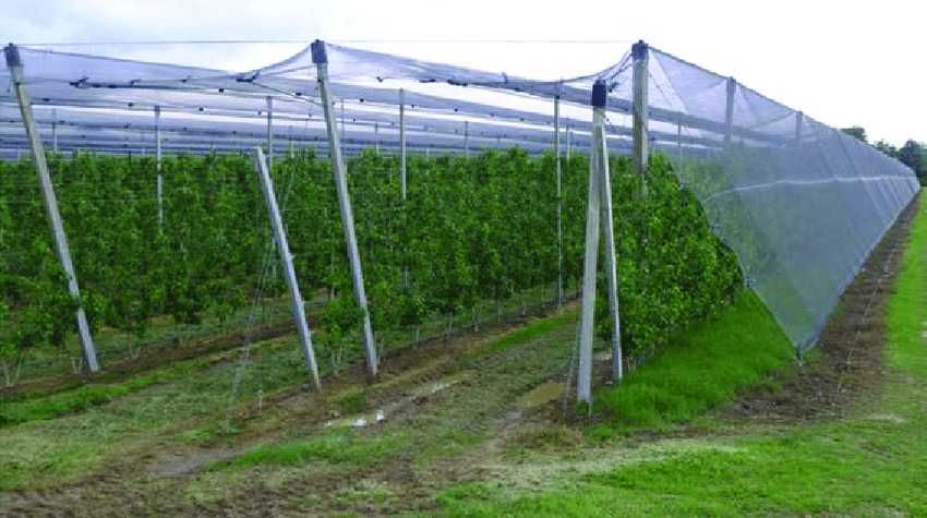 Мрежа ПРОТИВ ГРАДУШКА 35% и 50% засенчваща земеделие зеленчуци градина