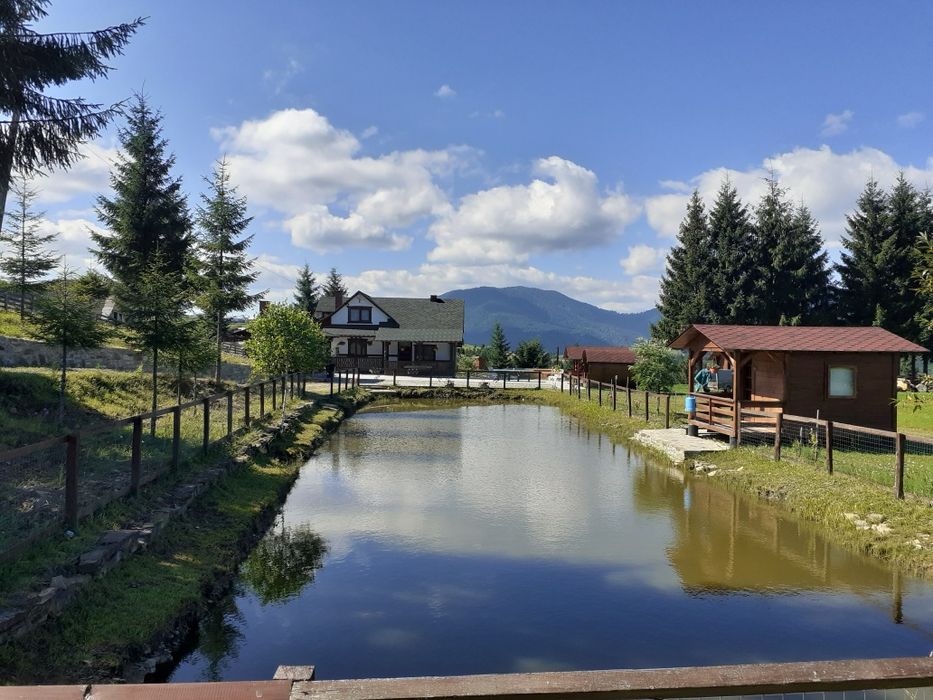 Cabana de inchiriat, Tihuta - Piatra Fantanele