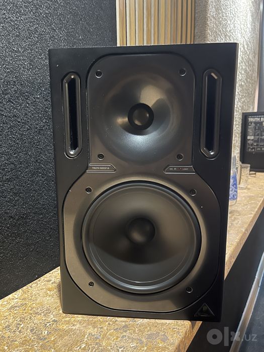 Behringer B2031A