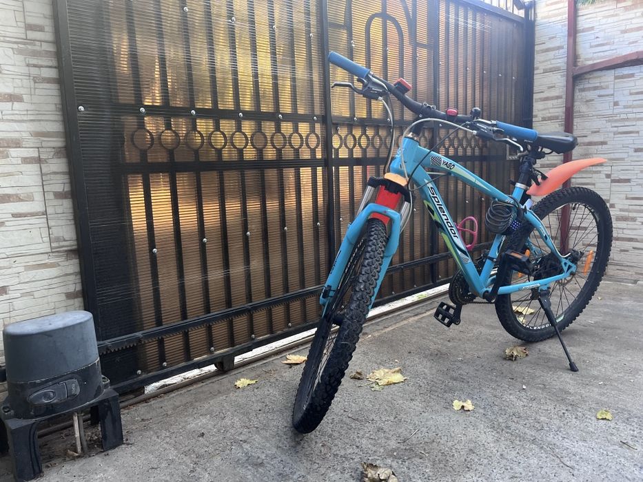 Bicicleta Mountain bine Splendor