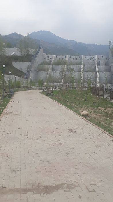 продам  сад срочно