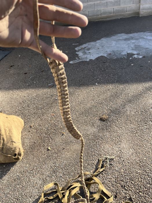 Продам ат саймандарын..