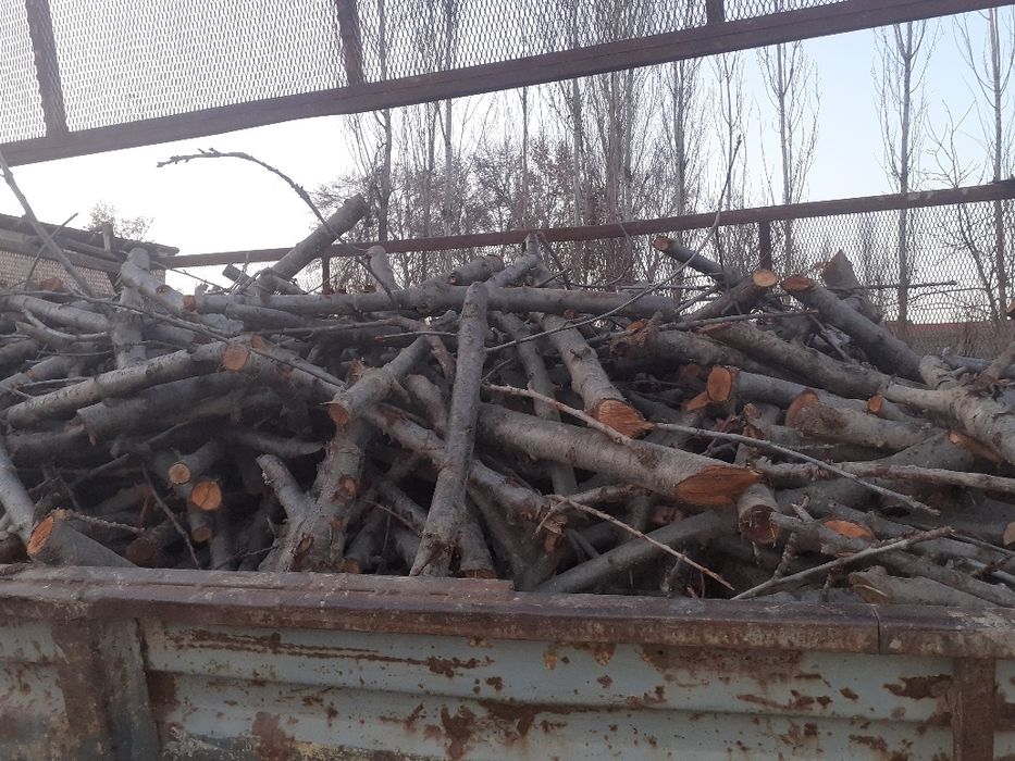 Васалик ва утин сотилади