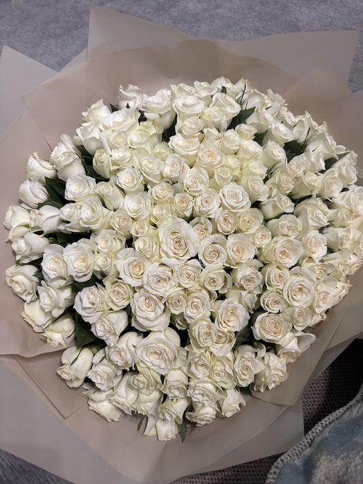 151 роза , цветы, букет