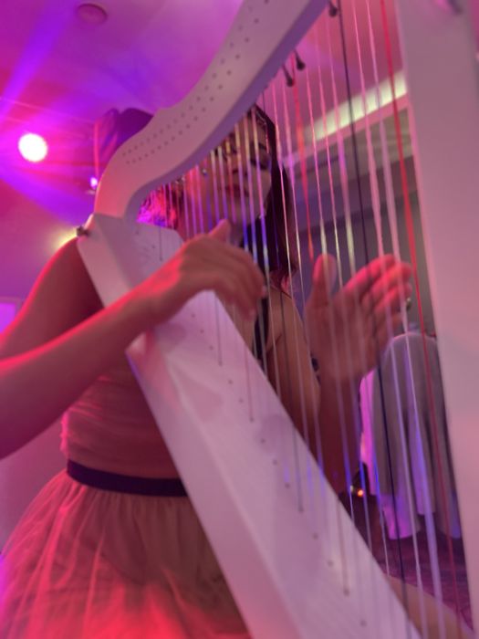 Harpă la evenimente