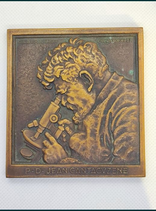 Plachetă Bronz 1933 Prof. Dr. Ion Cantacuzino Gravură André Lavrillier