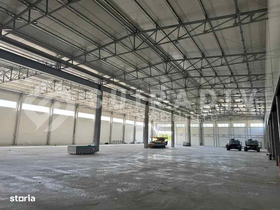 Hală de închiriat în Baciu –1373 mp hală + 150 mp birouri, 4 rampe TIR