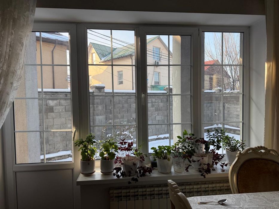 Окна ликовские