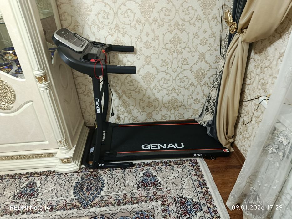 Begovoy darojka genau