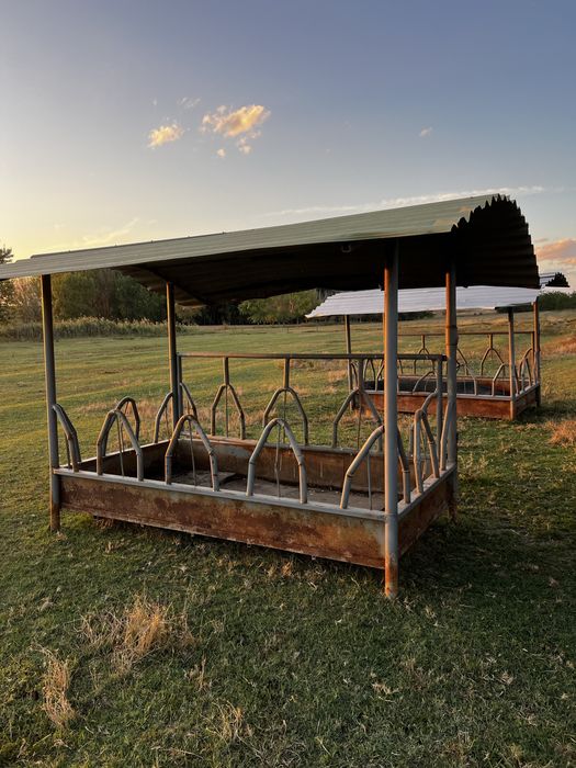 Iesle pentru vaci si cai