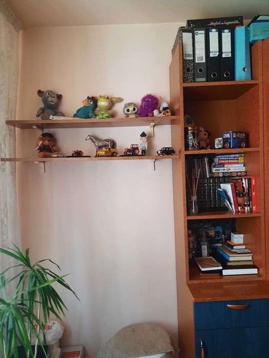 Mobila camera tineret