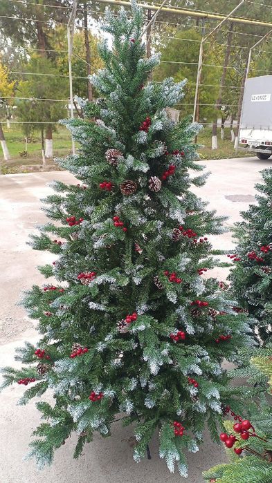 Арча янги-йил учун