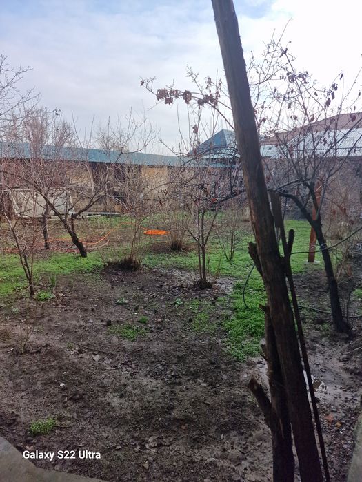 Участок рядом с парком  Нового Узбекистана