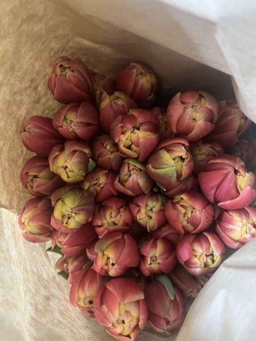 Тюльпаны 700 доставка десплатно