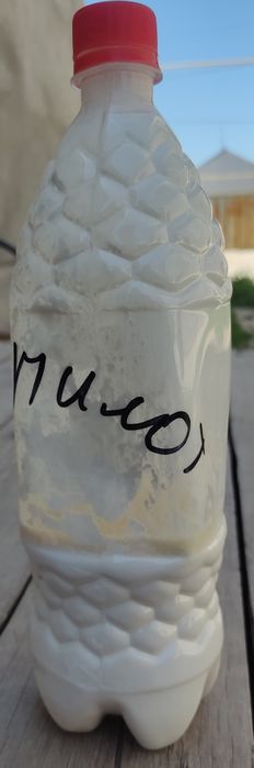 Гербициды  на свеклу